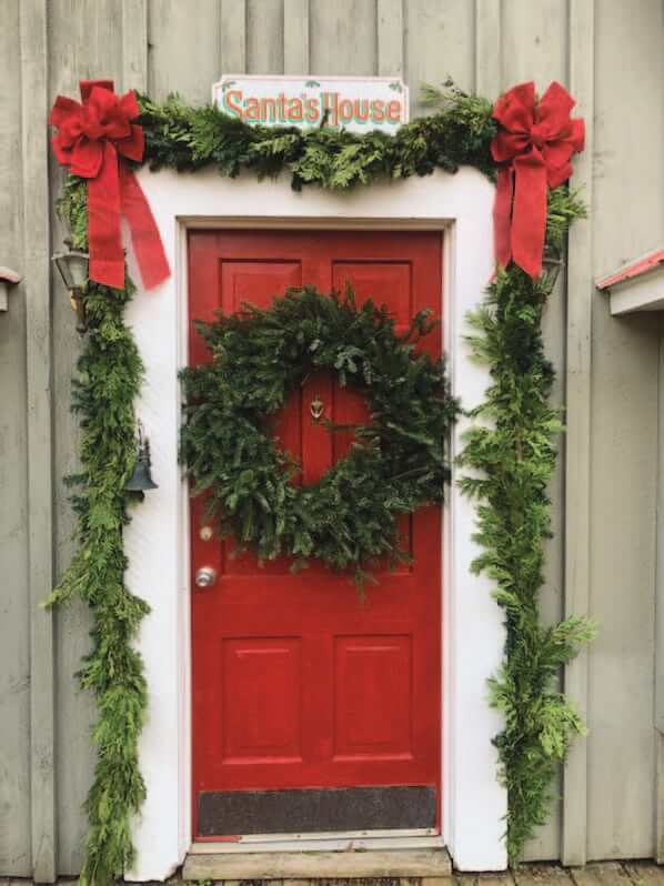 20" Fraser Wreath