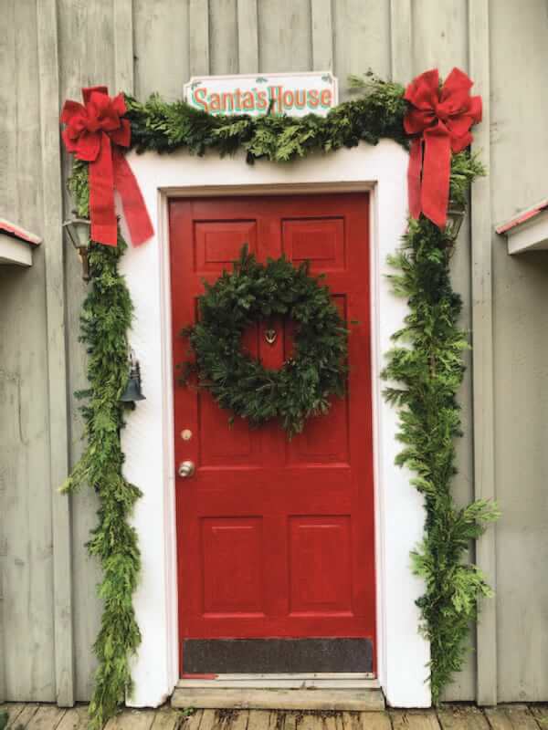 16" Fraser Wreath